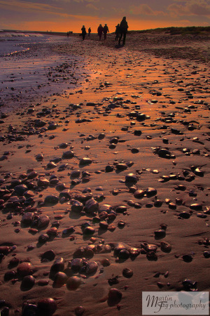 People on beach