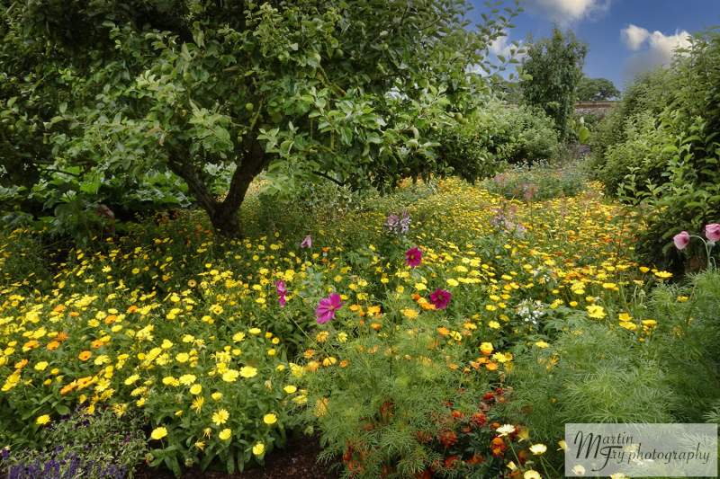 Felbrigg Gardens
